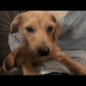 Meet your Posher, Tracey